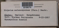 Image Associated With the Occurence